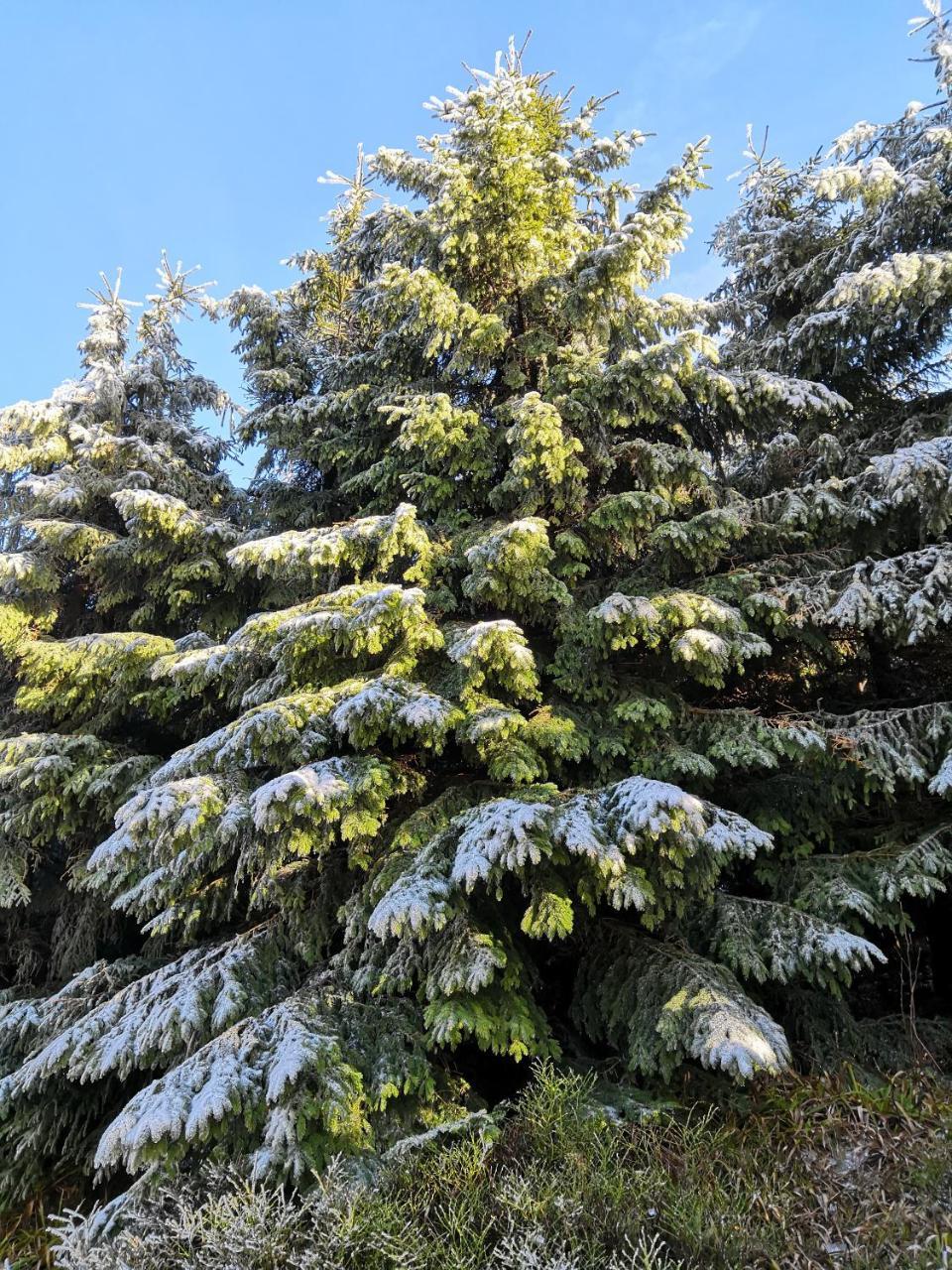 Penzion Čtyřlístek Teplice nad Metují Esterno foto